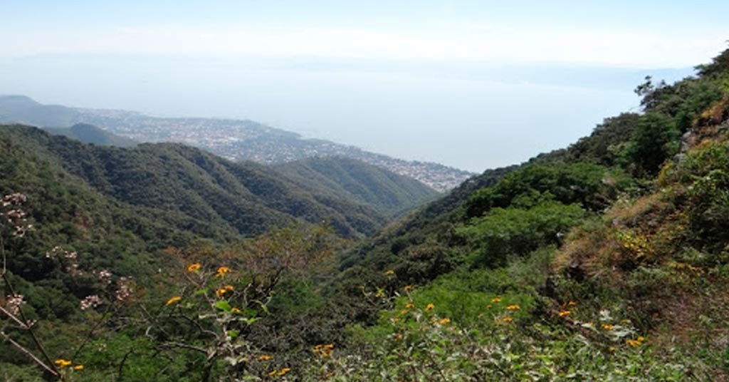 Las obsidianas bosque de la primavera hiking